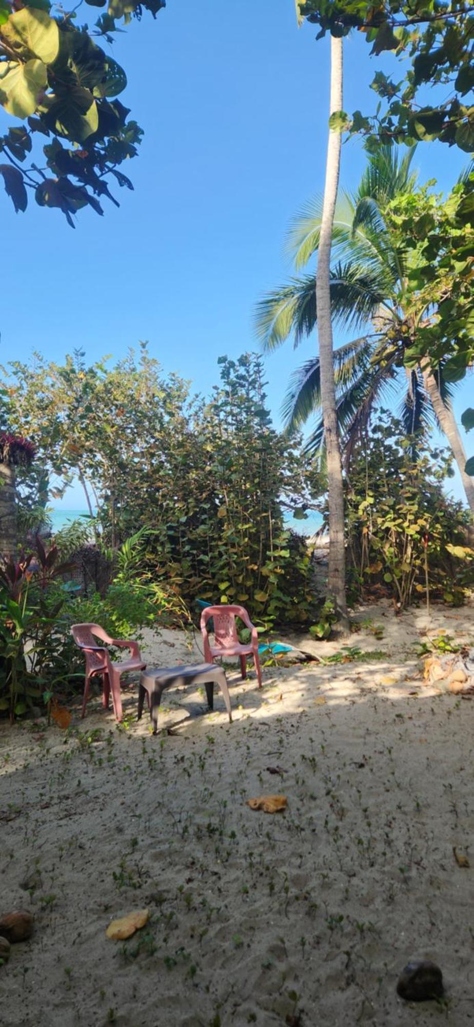 Bed and Breakfast Nueva Onda Palomino Exterior foto